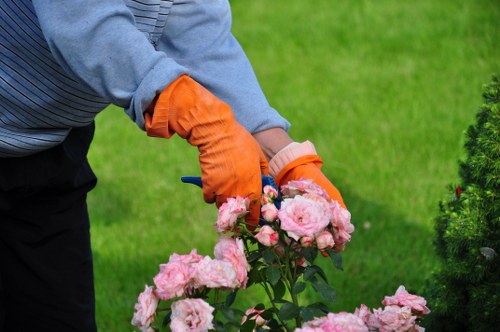 Garden maintenance services in Bayswater